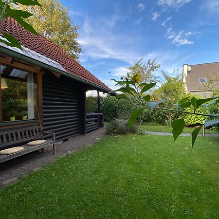 Eifel-Lounge Blockhaus Mit Kamin Garten Balkon Nahe Koeln Therme Bruehl Phantasialand 维勒斯威特 外观 照片