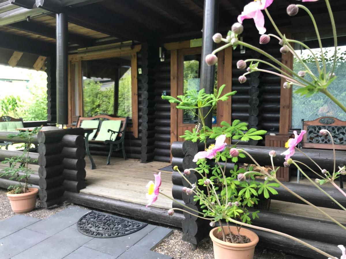 Eifel-Lounge Blockhaus Mit Kamin Garten Balkon Nahe Koeln Therme Bruehl Phantasialand 维勒斯威特 外观 照片