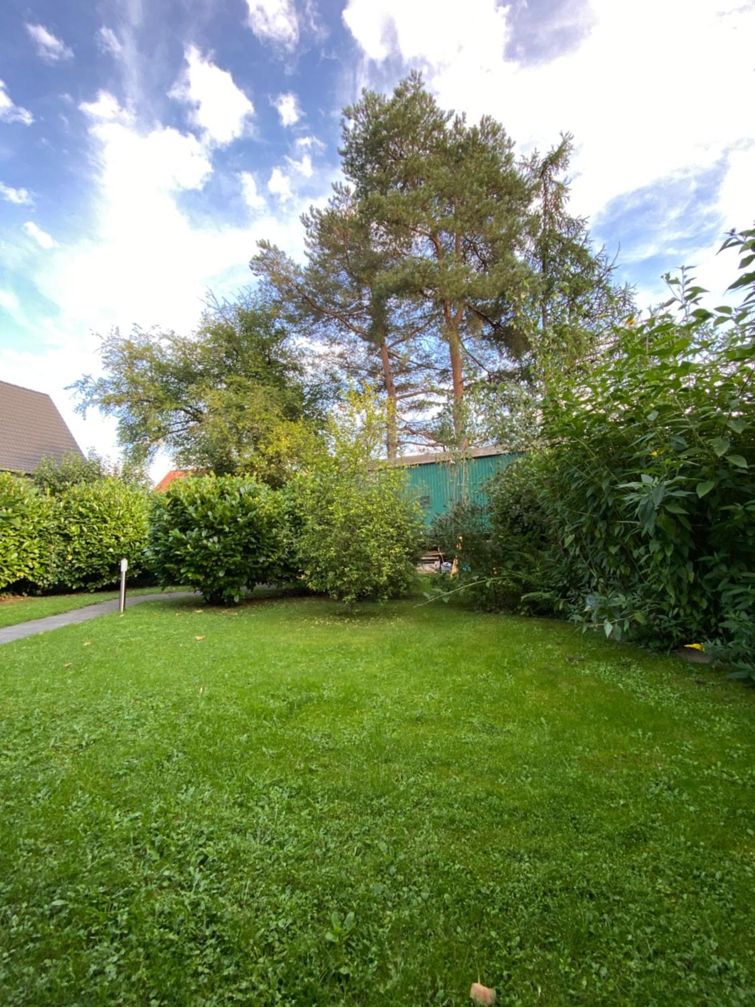 Eifel-Lounge Blockhaus Mit Kamin Garten Balkon Nahe Koeln Therme Bruehl Phantasialand 维勒斯威特 外观 照片