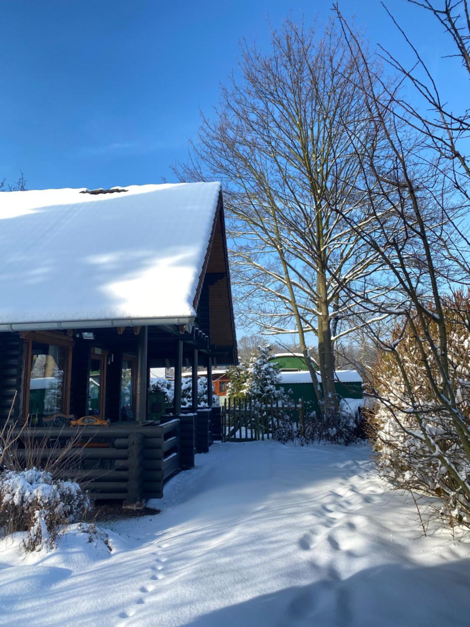 Eifel-Lounge Blockhaus Mit Kamin Garten Balkon Nahe Koeln Therme Bruehl Phantasialand 维勒斯威特 外观 照片