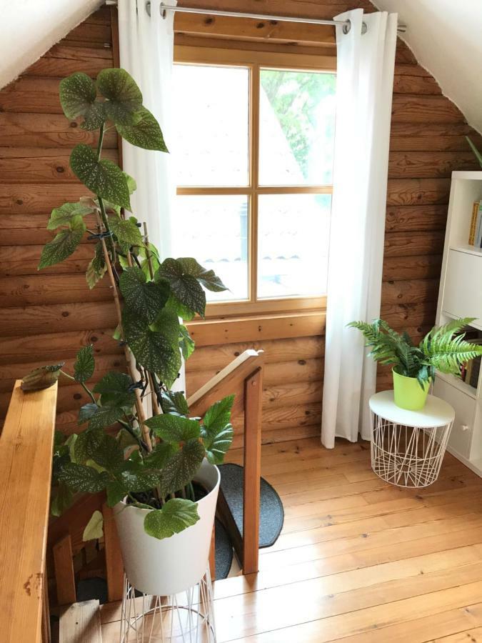 Eifel-Lounge Blockhaus Mit Kamin Garten Balkon Nahe Koeln Therme Bruehl Phantasialand 维勒斯威特 外观 照片